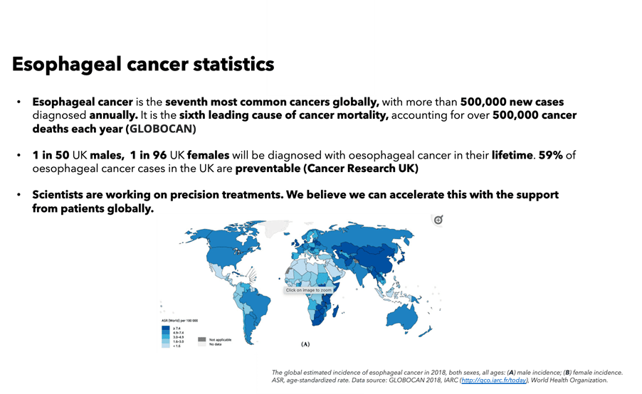 Esophageal Cancer statistics